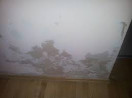 плесень на стене